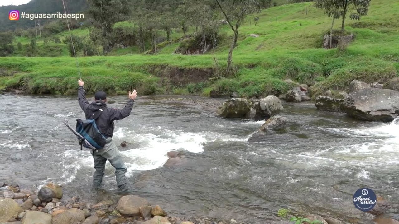 Pesca de Truchas en Colombia Aguas Arriba ESPN Latinoamérica T:12 E:13 2019