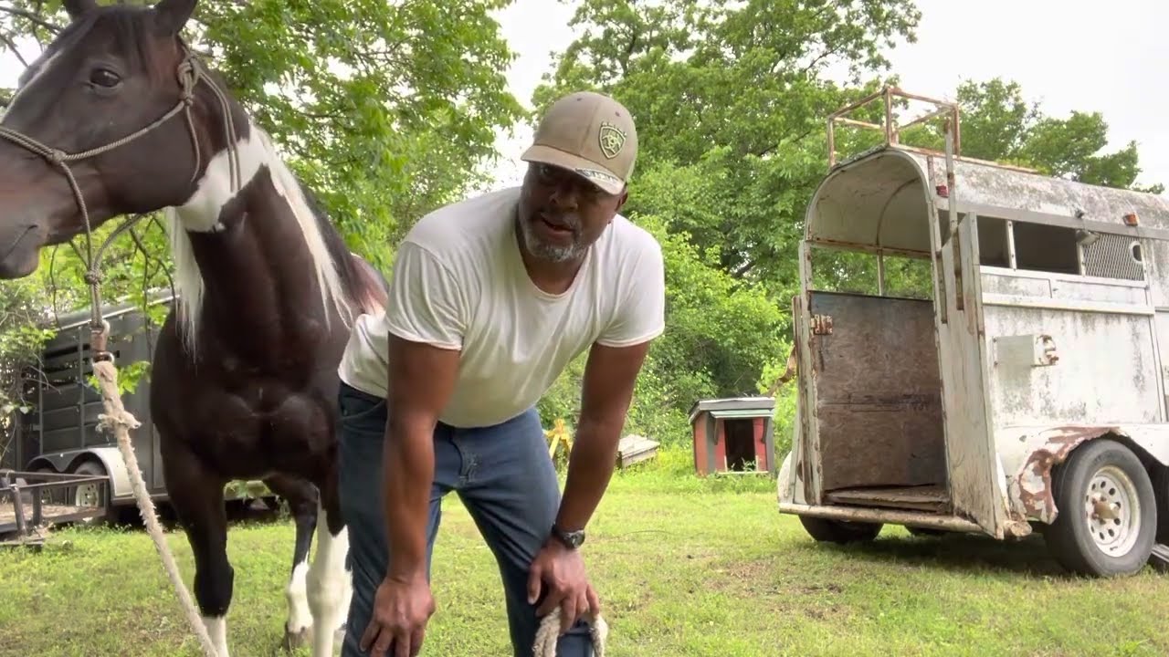 Trailer loading ( single horse)  1st time