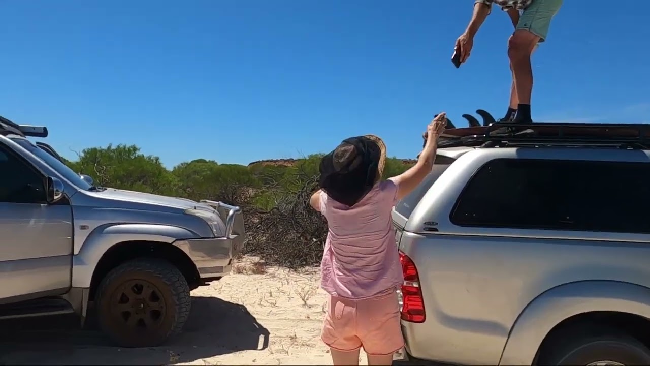 Shark Bay. Herald Bight to Herald Bluff
