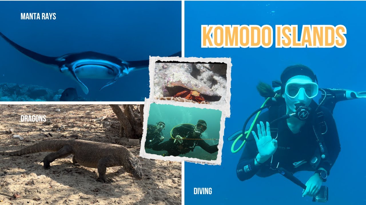 Epic Komodo Dragon Adventure: 7 Days at Sea
