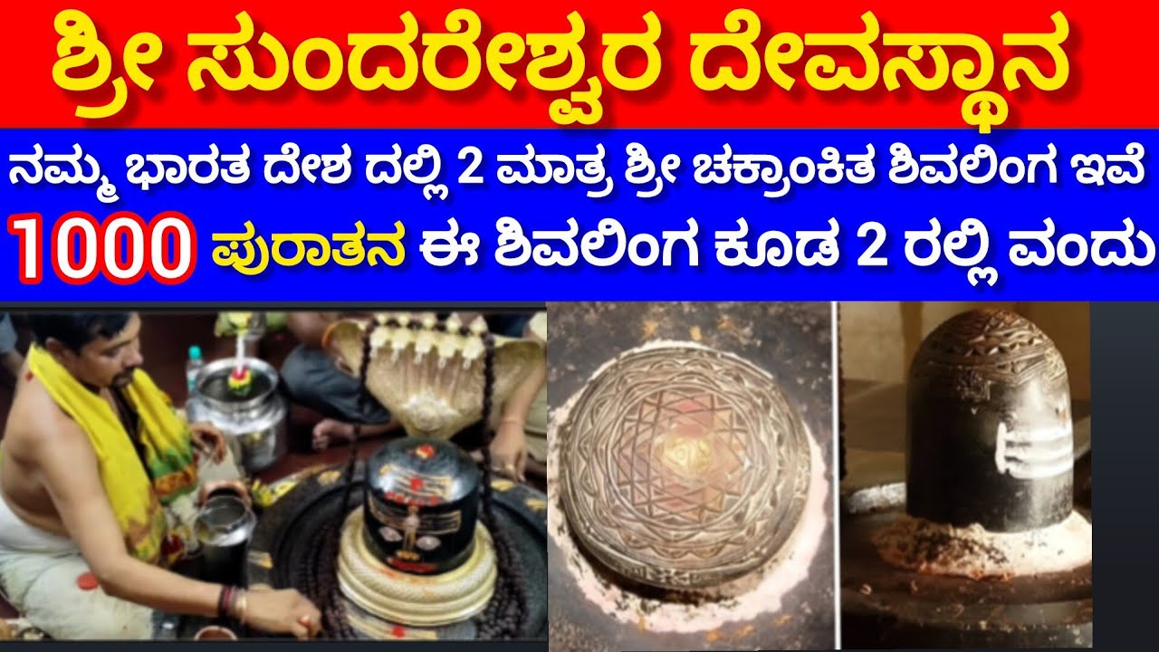 ಮಹಾ ಶಿವರಾತ್ರಿಯ ವಿಶೇಷ !!The most rare 1000 years old Chakrankita Shivalinga is found in our country 