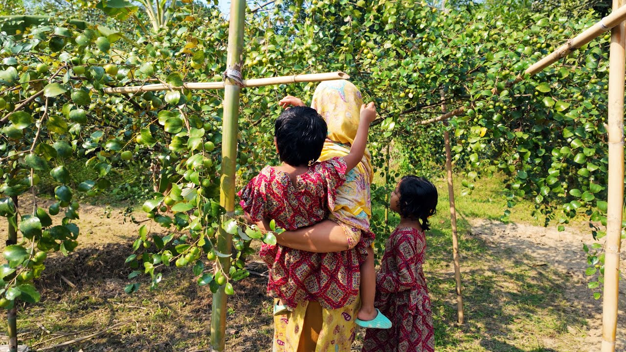 অগ্রহায়ণের ব্যস্ত দিনে ধান সিদ্ধ ও বড়ই ভর্তা | A Busy Day | VillageLife | Sammya In The Village