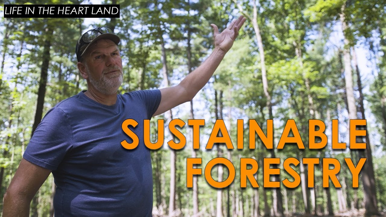 Coexisting with Trees | Life in the Heart Land
