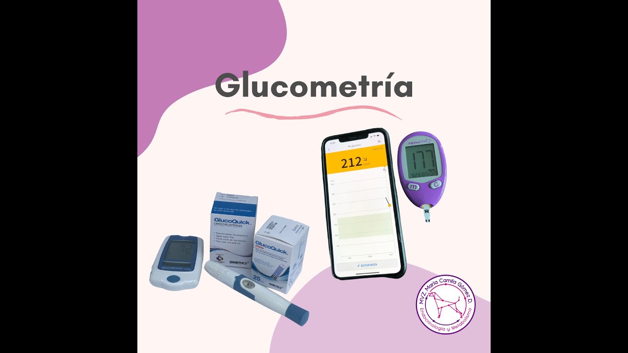 GLUCOMETRIA CANINOS