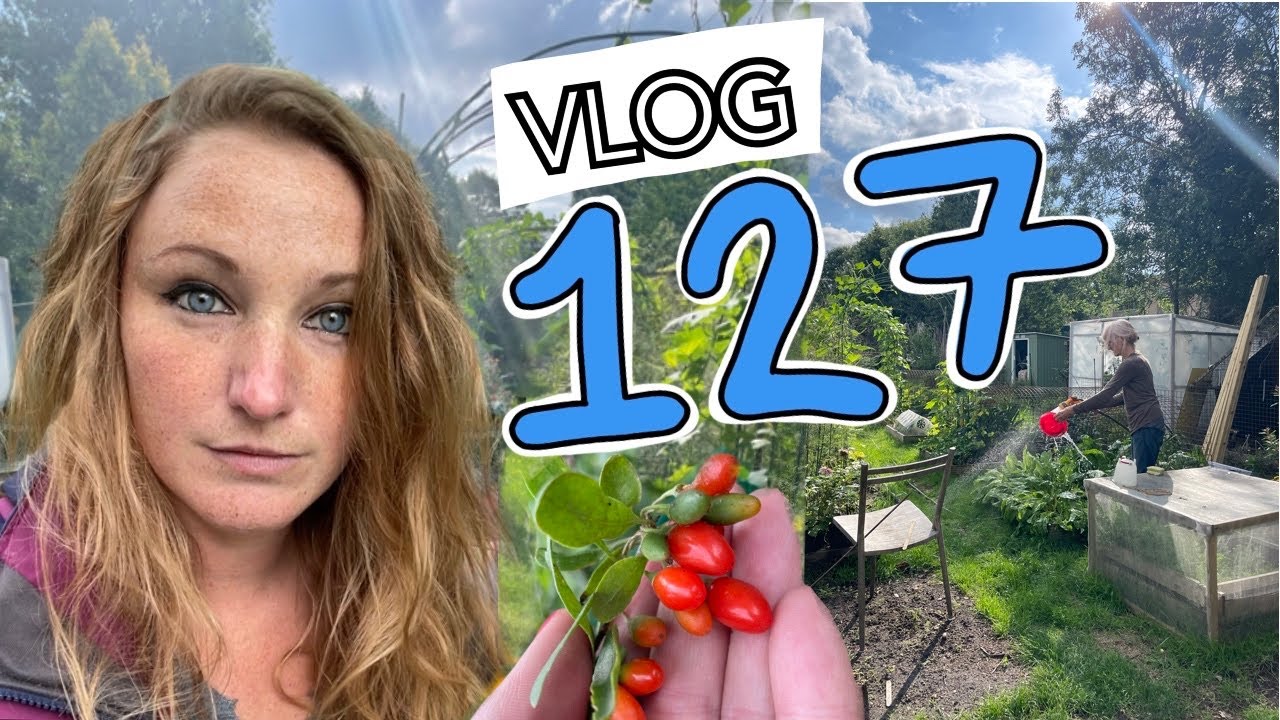 Ep127 - Spinach, Spring Cabbage and a new King. Plus stuffed Pattypans || Plot 37