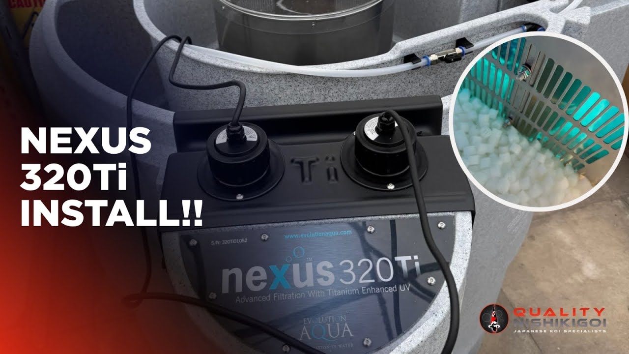 УСТАНОВЛЕН ПЕРВЫЙ NEXUS 320Ti!!