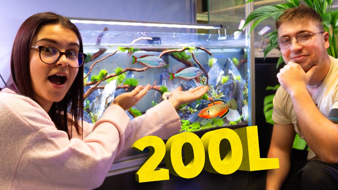 Ma COPINE fait son PREMIER AQUARIUM (200L aquascaping)