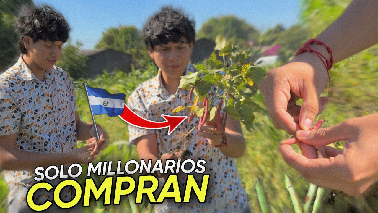 LOS FRIJOLES SALVADOREÑOS POR QUE SON CAROS?