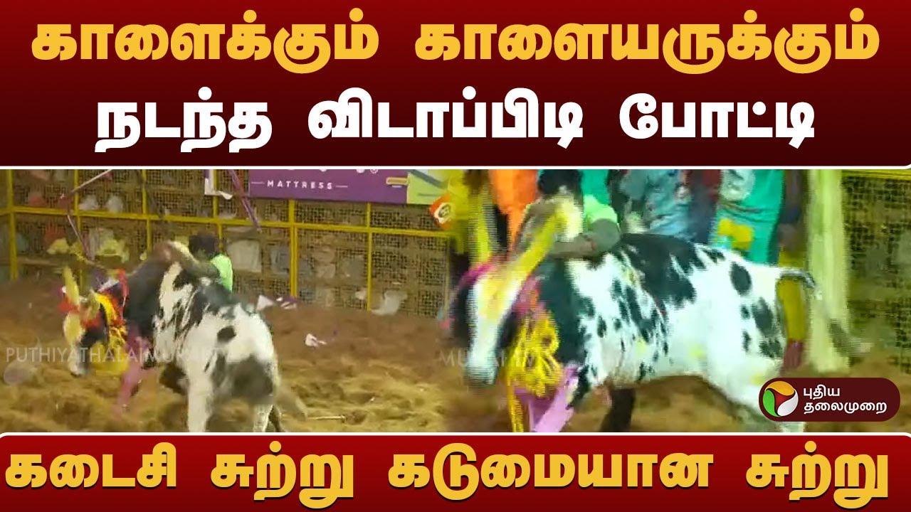 Palamedu Jallikattu | கடைசி சுற்று கடுமையான சுற்று காளைக்கும் காளையருக்கும் நடந்த விடாப்பிடி போட்டி