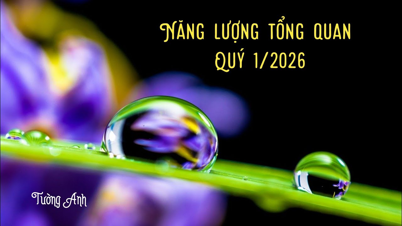 NĂNG LƯỢNG TỔNG QUAN QUÝ 1/2026