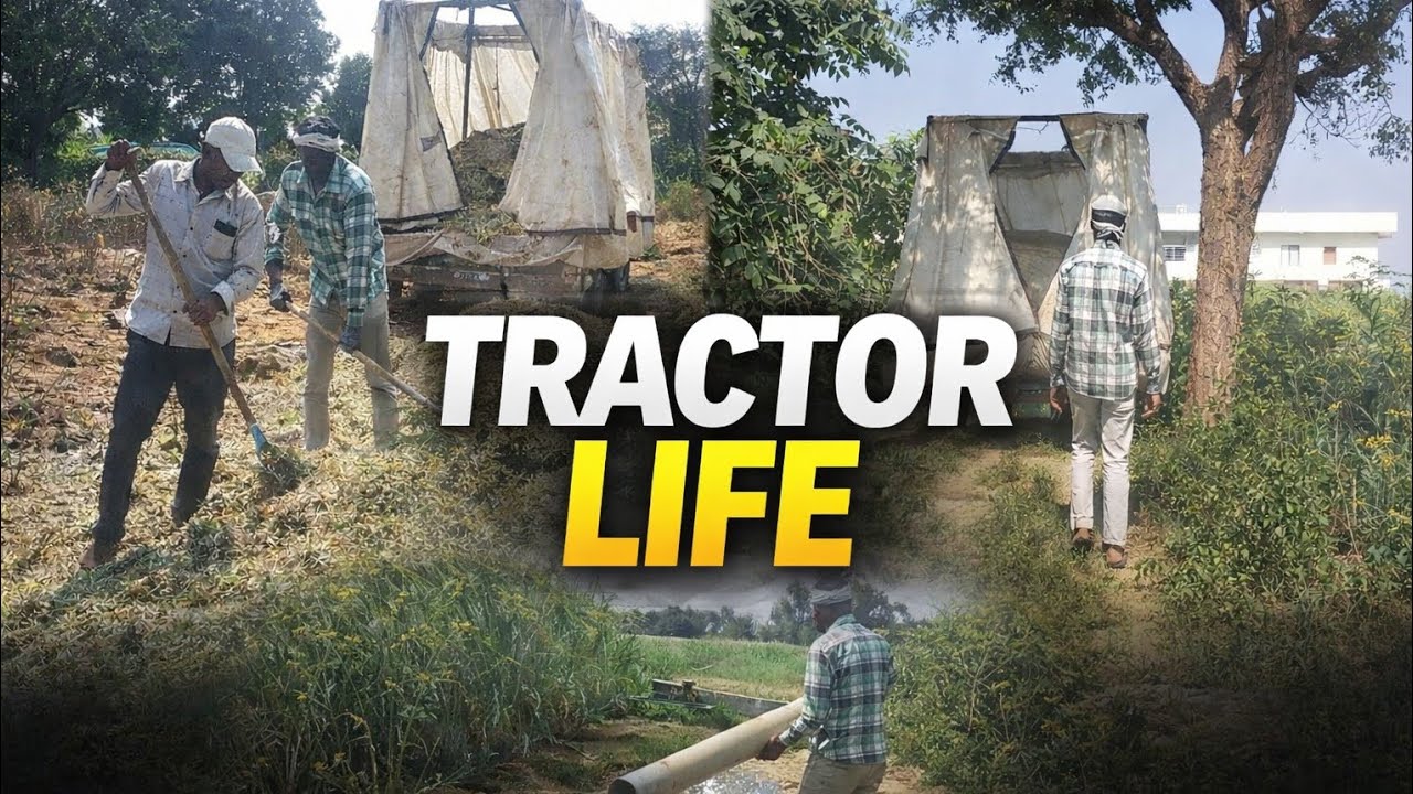 Desi Tractor Life 🚜 | Hard Work in Village