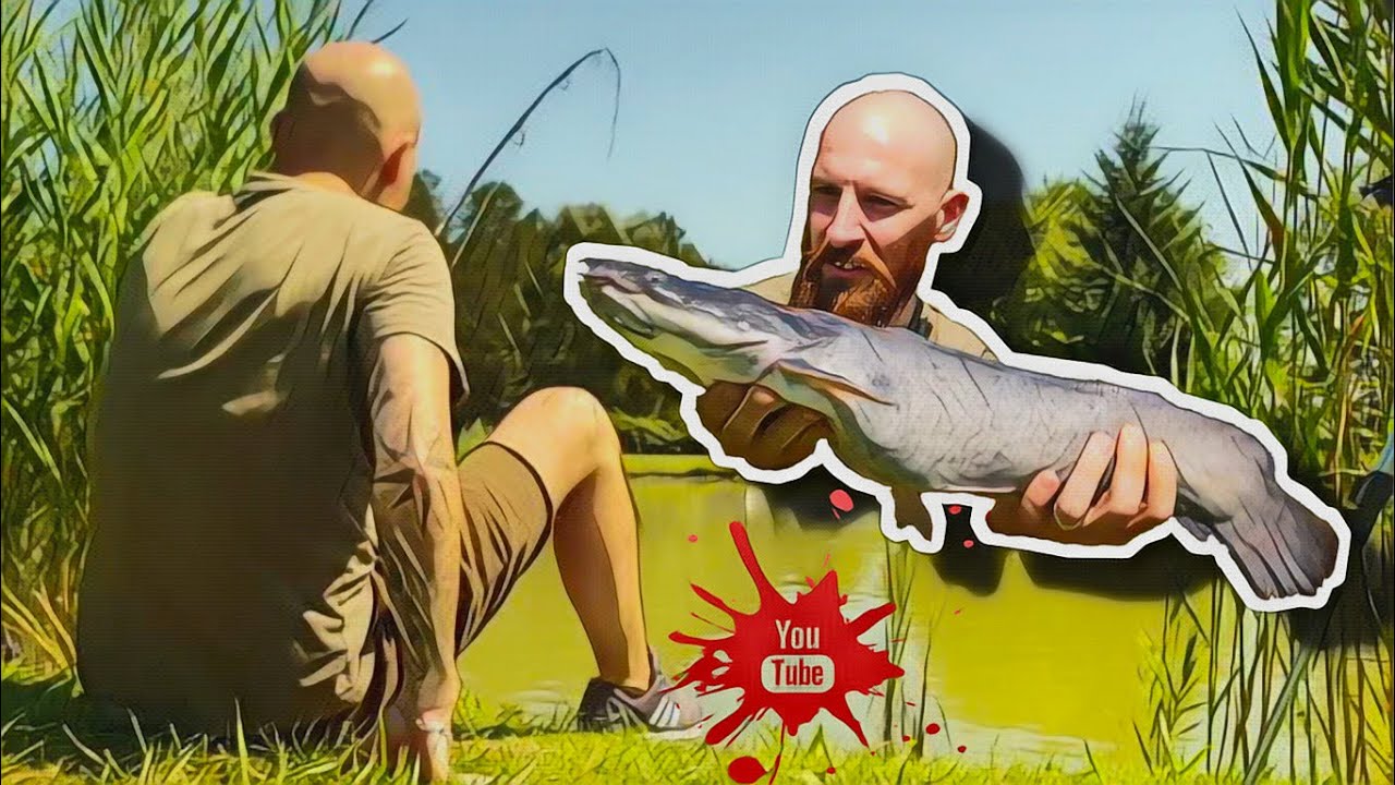 Afrikai harcsázás szólóba