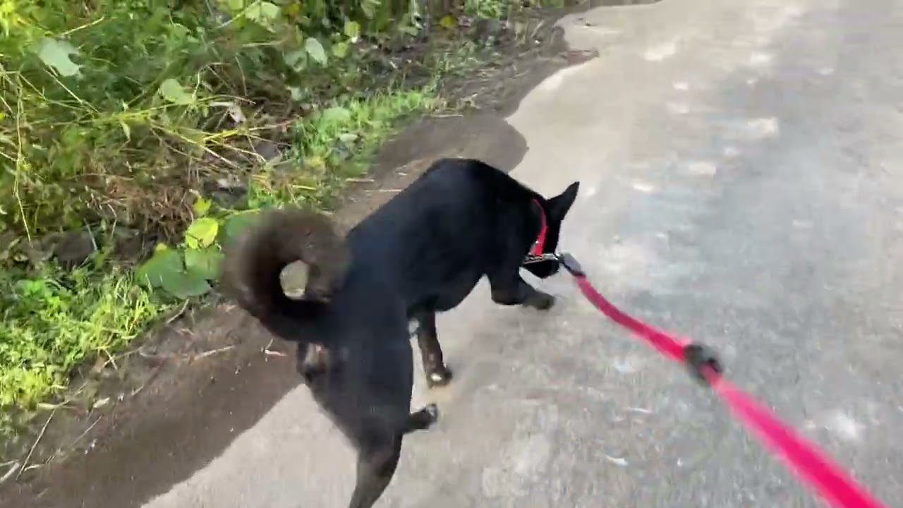 【赤×黒コーデ　ハイネックで首長＆小顔見せ】