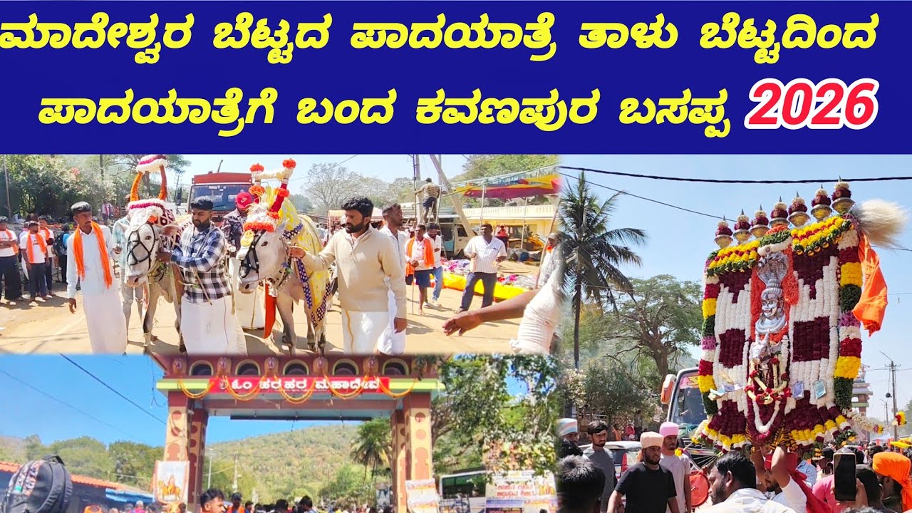 ಶಿವರಾತ್ರಿ ಪ್ರಯುಕ್ತ ಮಾದೇಶ್ವರ ಬೆಟ್ಟಕ್ಕೆ ಪಾದಯಾತ್ರೆ ಮಾಡಿ ಬಂದ ಲಕ್ಷಾಂತರ ಭಕ್ತರು..!? | padayatre mahadeswra 