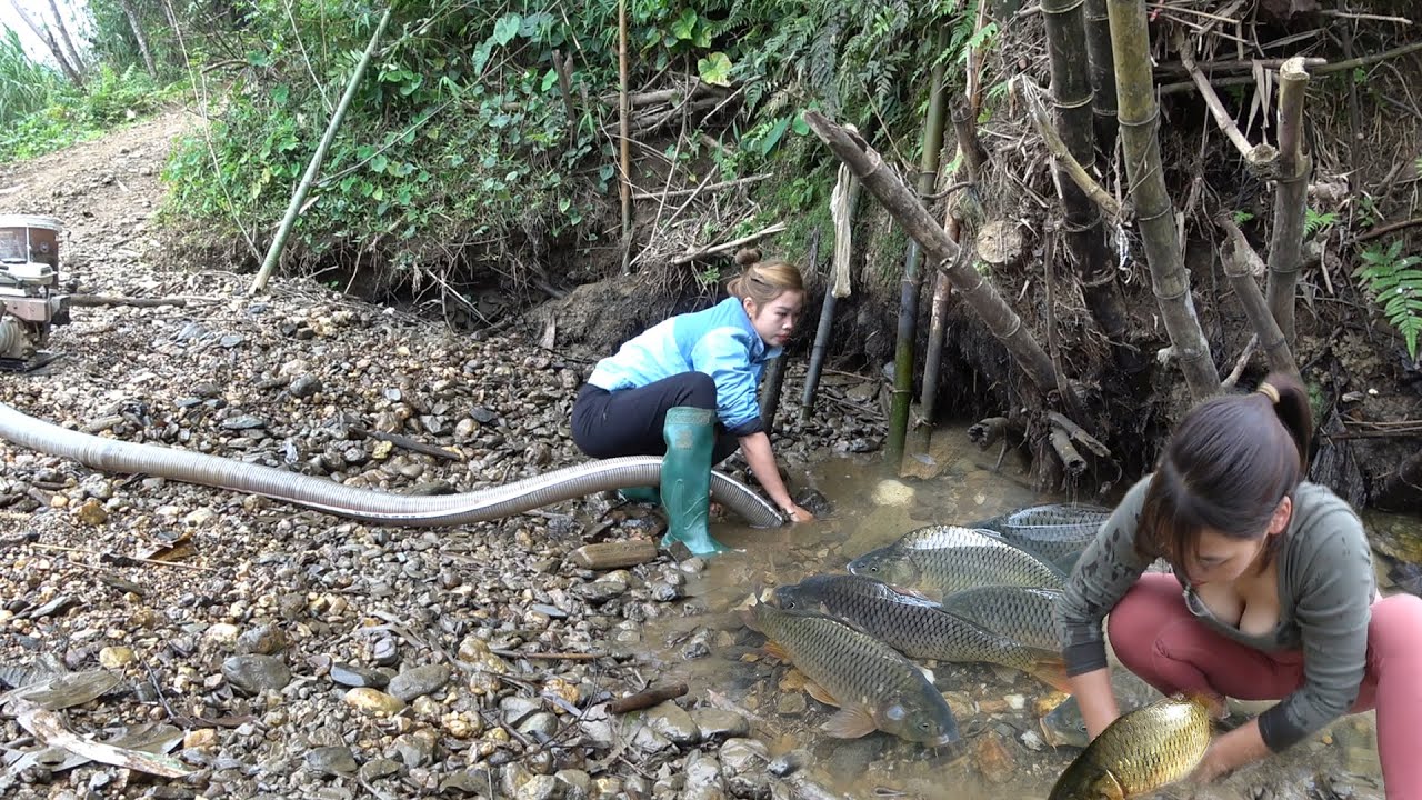 Fishing Technology, Catching Fish With Pump, Catching A Lot Of Fish In The Wild Lake