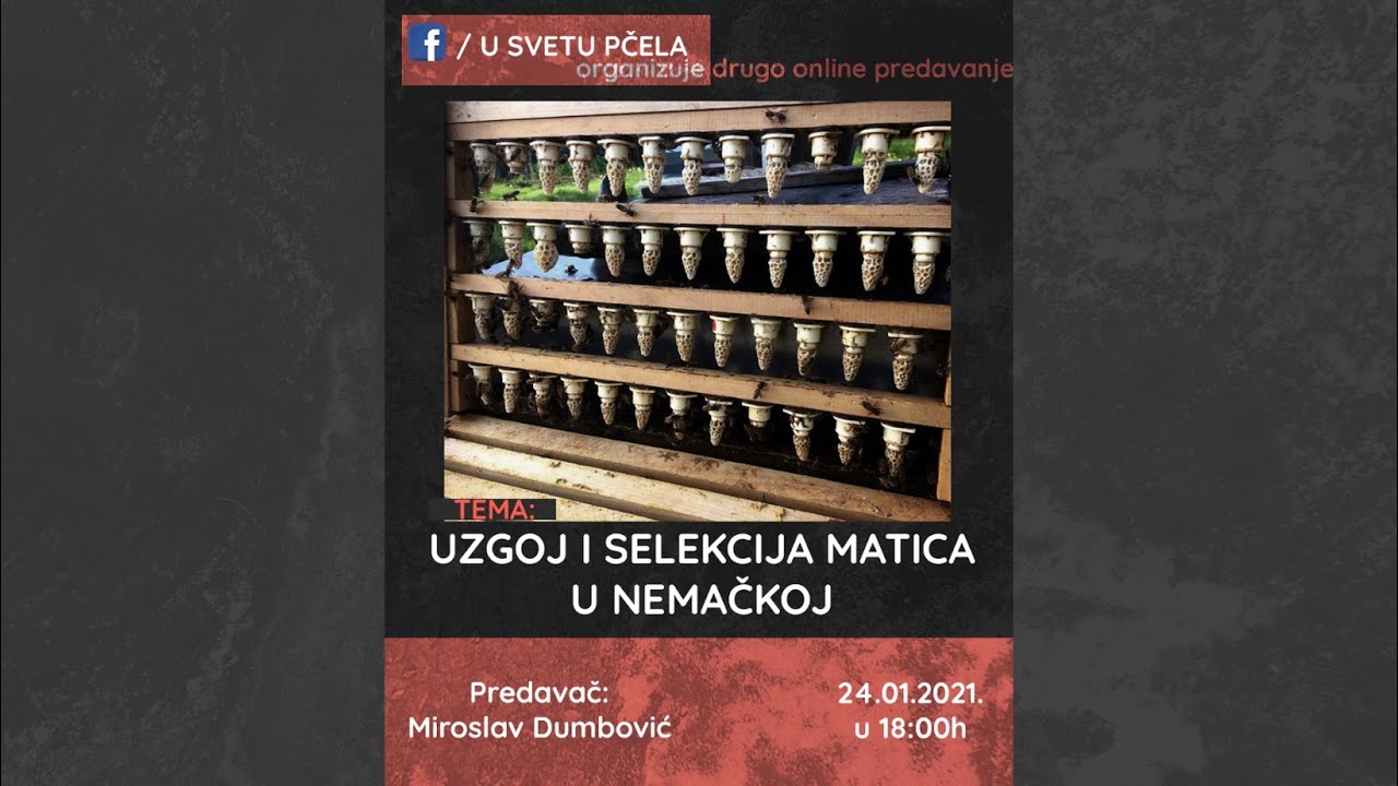 Uzgoj i selekcija matica u Nemačkoj