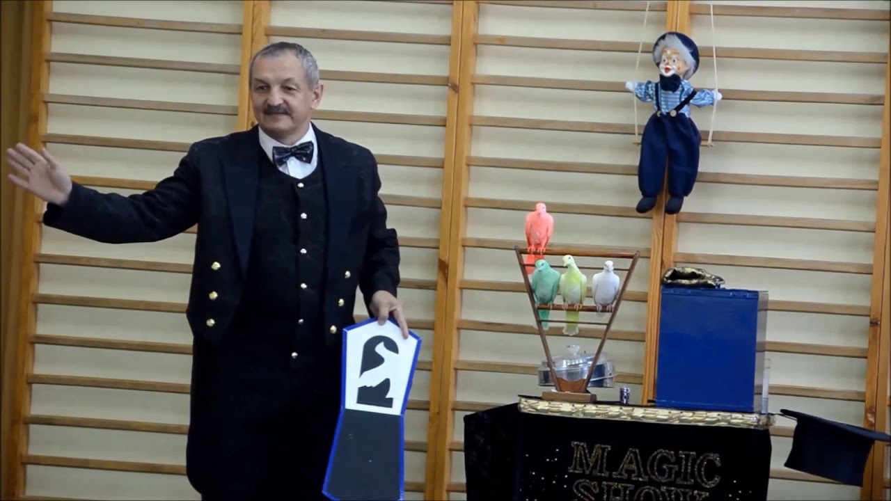 BROZI KOLOROWE GOŁĘBIE ! TE z MAM TALENT !