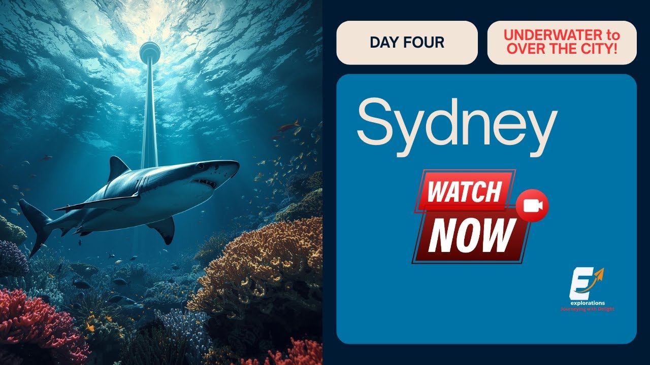 Sydney Day 4 | Under water to Over the City