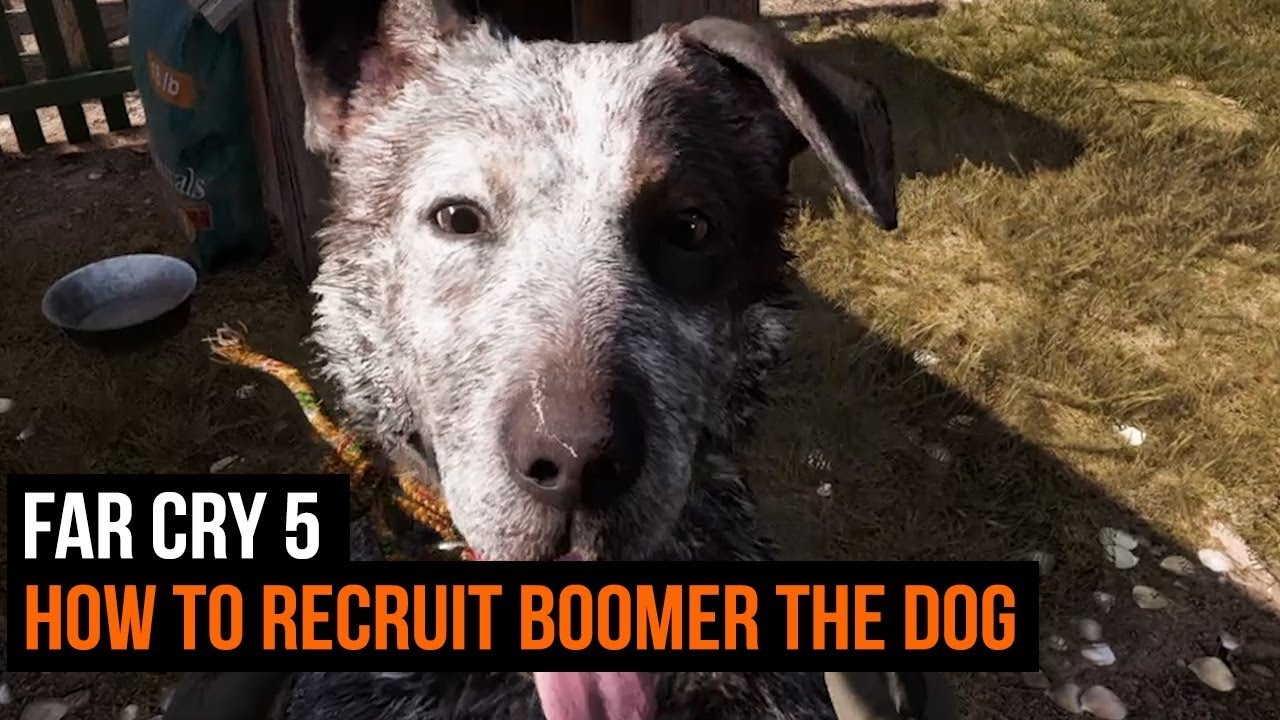 Far Cry 5 - How To Recruit Boomer The Dog