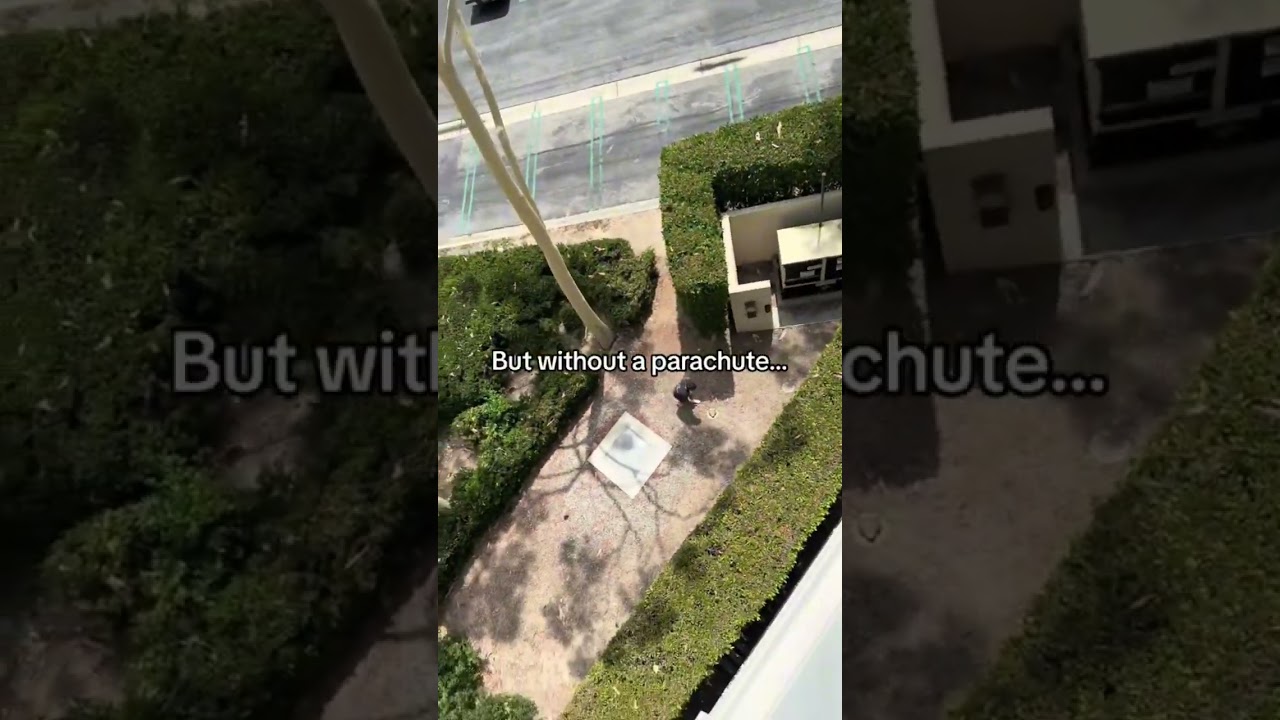No He Didnt&hellip;. #monkeyaround #monkey #accident #monkeybusiness