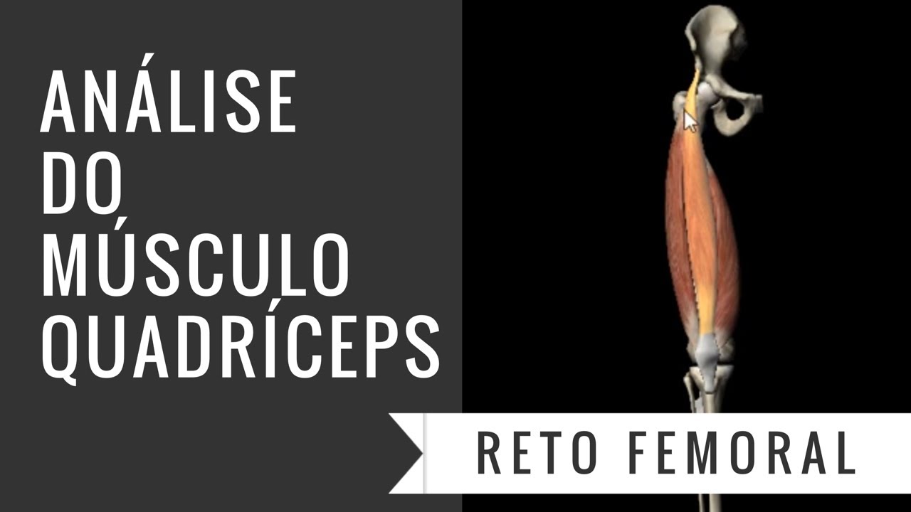 [BIOMECÂNICA] MÚSCULO QUADRICEPS - Reto femoral