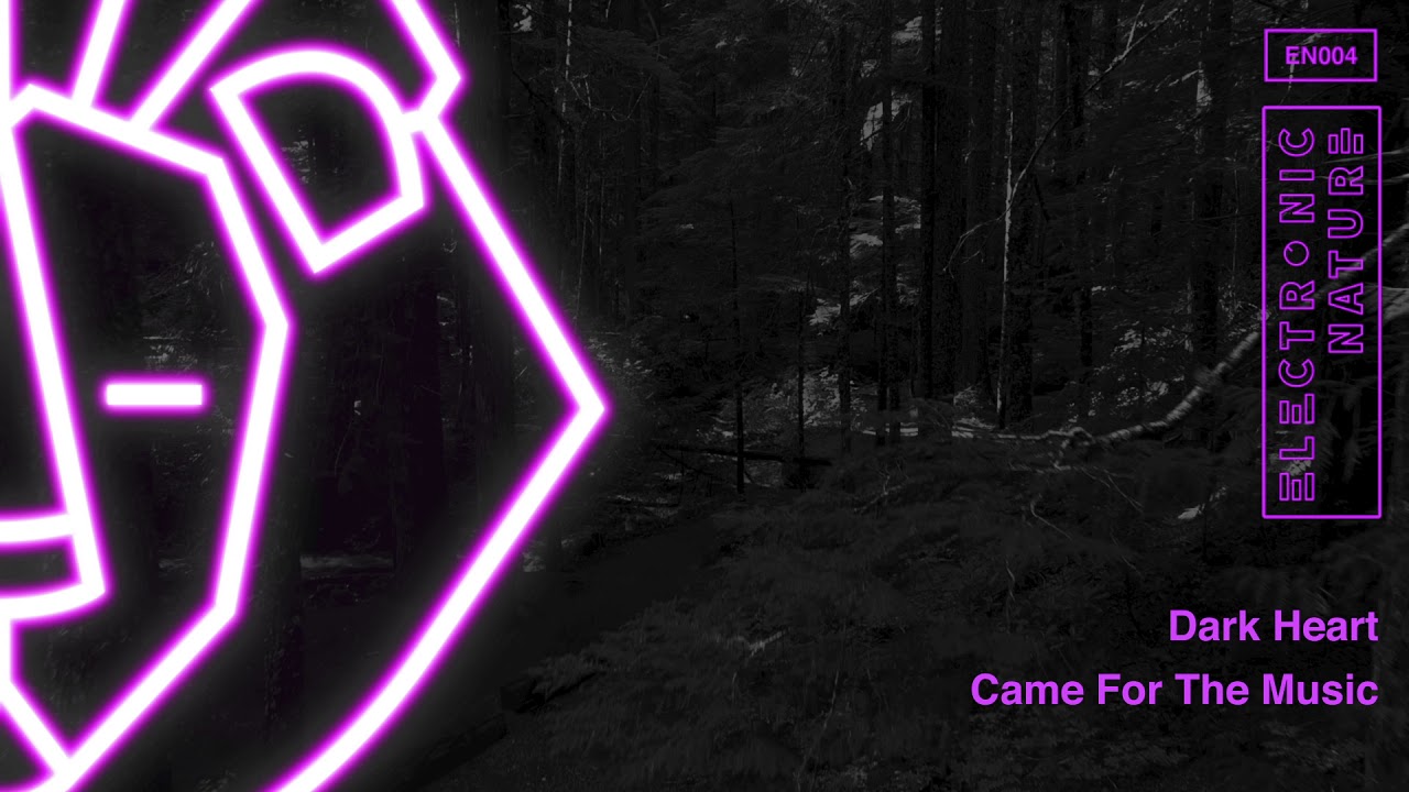 Dark Heart - Came For The Music
