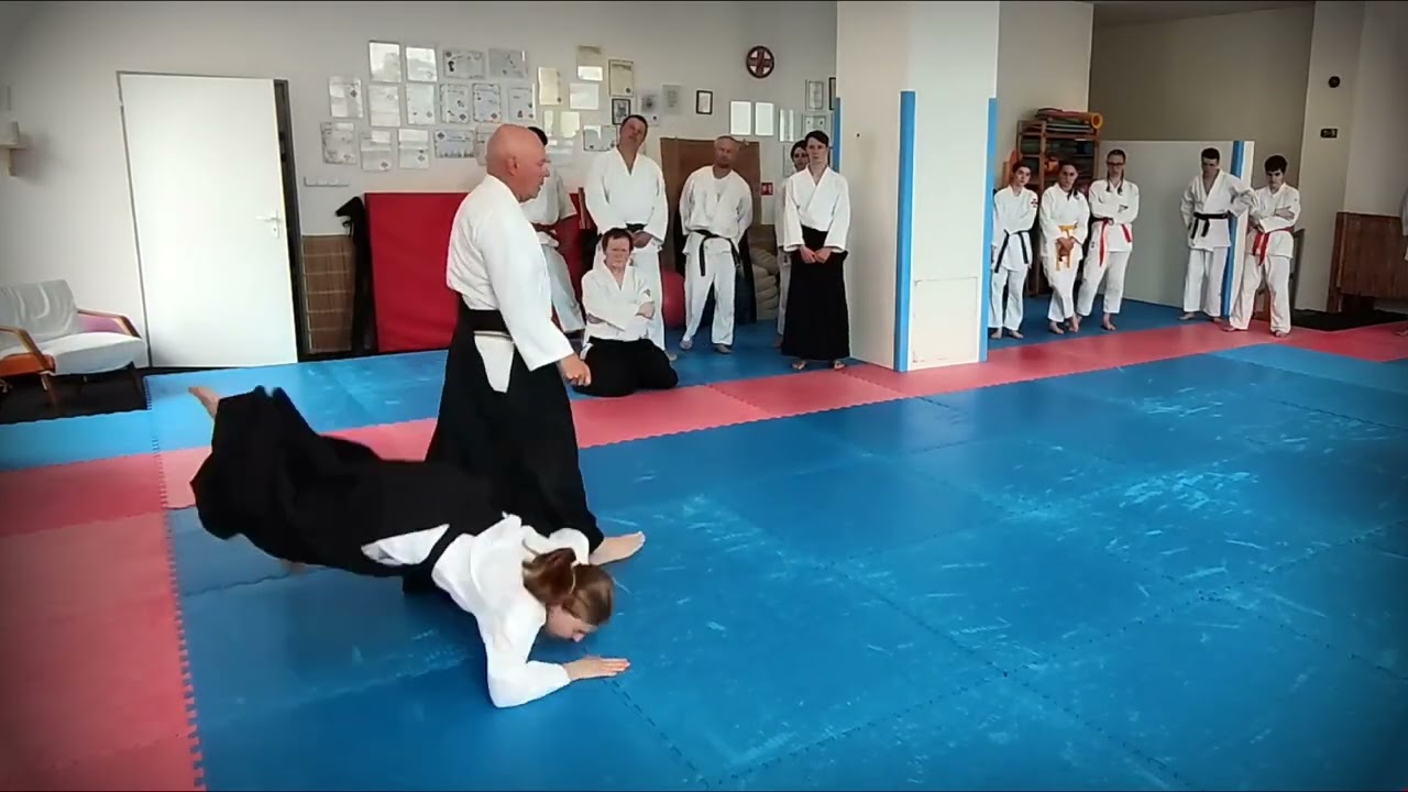 Seminář - Shihan Jacek Wysocki 8. Dan Aikido Kobayashi Ryu - Opava, 10.-11.6.2023