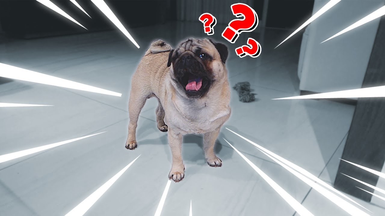 O INVASOR NA CASA DOS YOUTUBERS !! ‹ BAIXAMEMORIA ›