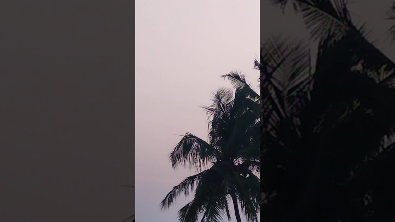 11 February 2026