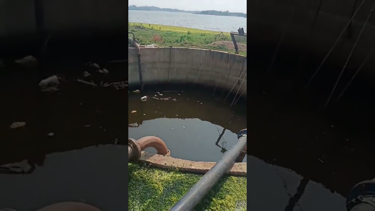 So bore well motors in a well