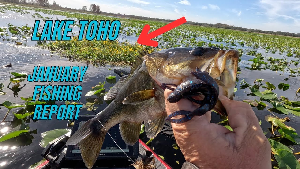 Lake Toho January Fishing Report & Top Bait Picks