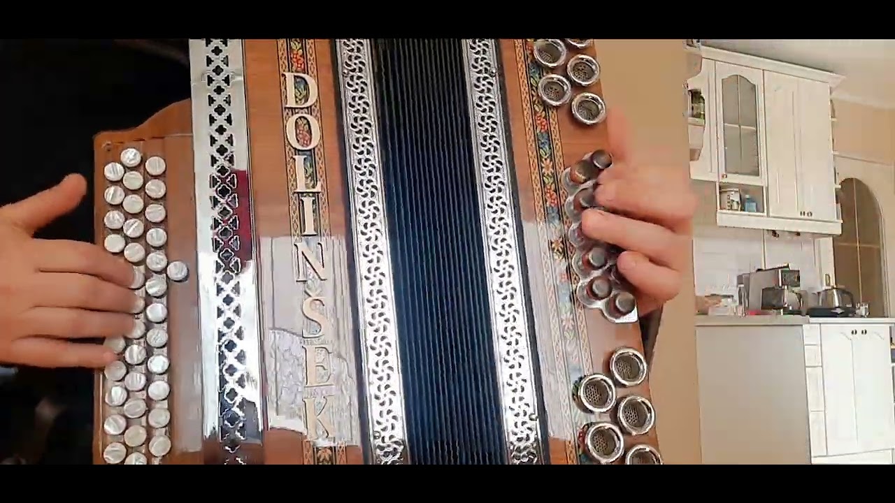 Diatonična harmonika Dolinšek CFB 38cm odlomek