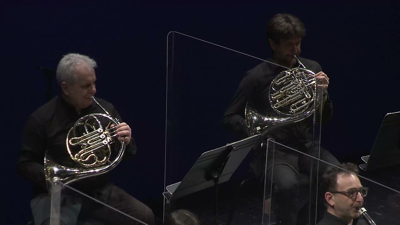 Mozart - Maurerische Trauermusik, K.477 (Mario Brunello)