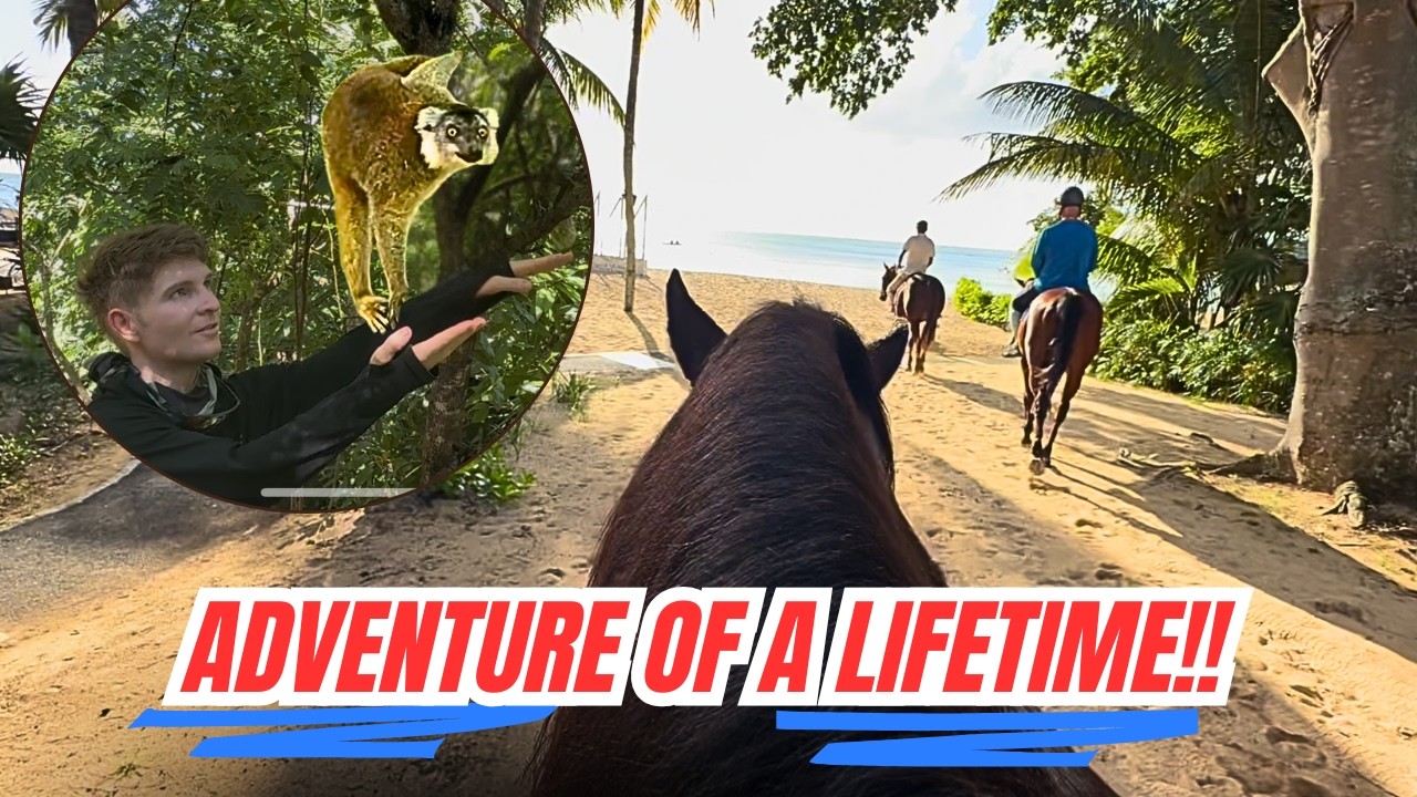 🌍 THE ADVENTURE OF A LIFETIME | Part 1: Mauritius to Madagascar! 🐴🐒🌊