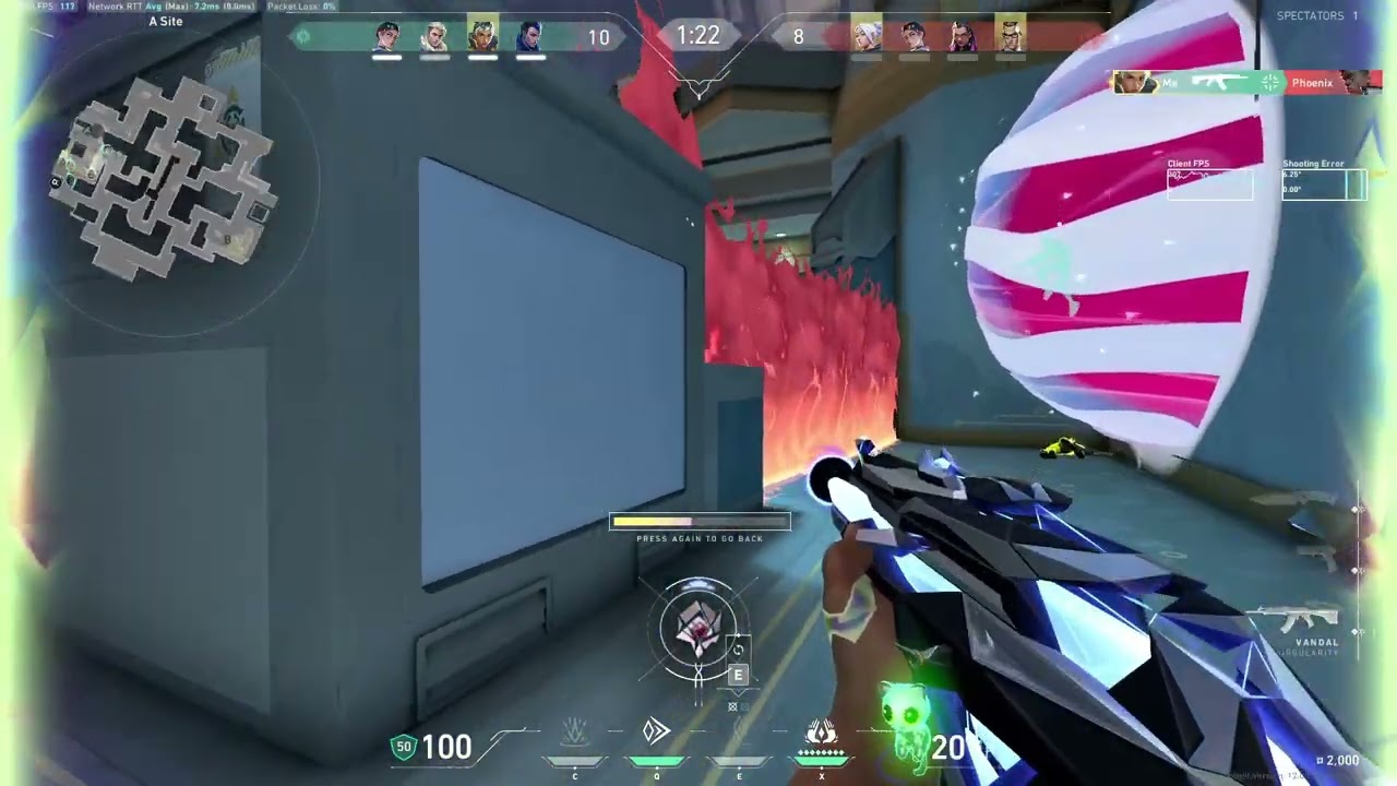 Korean Primmie