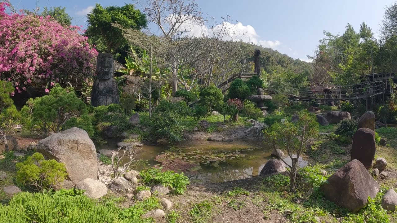 Zen Gardens