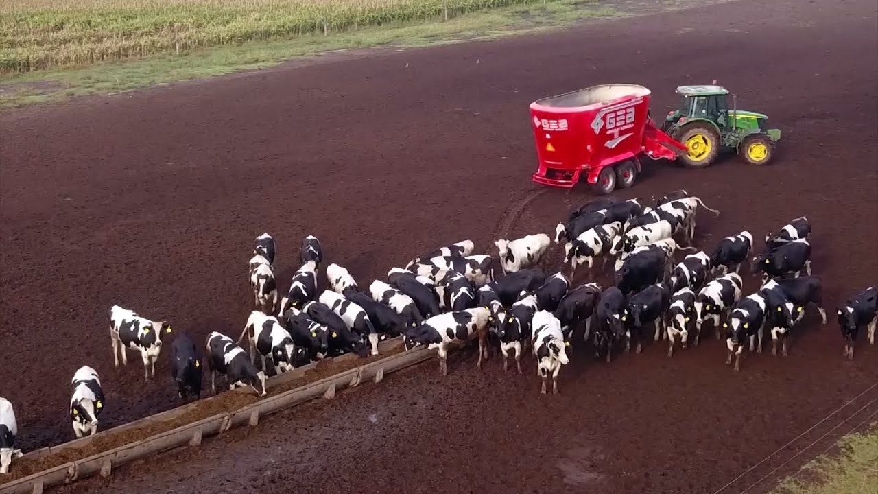 CAMPO ABIERTO 1563