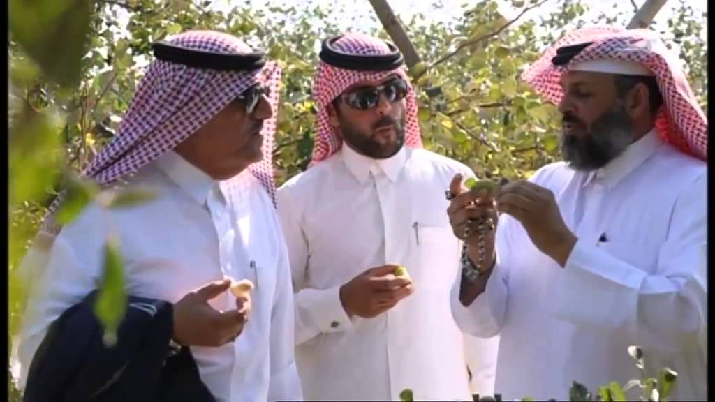 تلفزيون قطر - برنامج كشات - مع السيد عويضة سالم الكواري و مزرعة عذبه