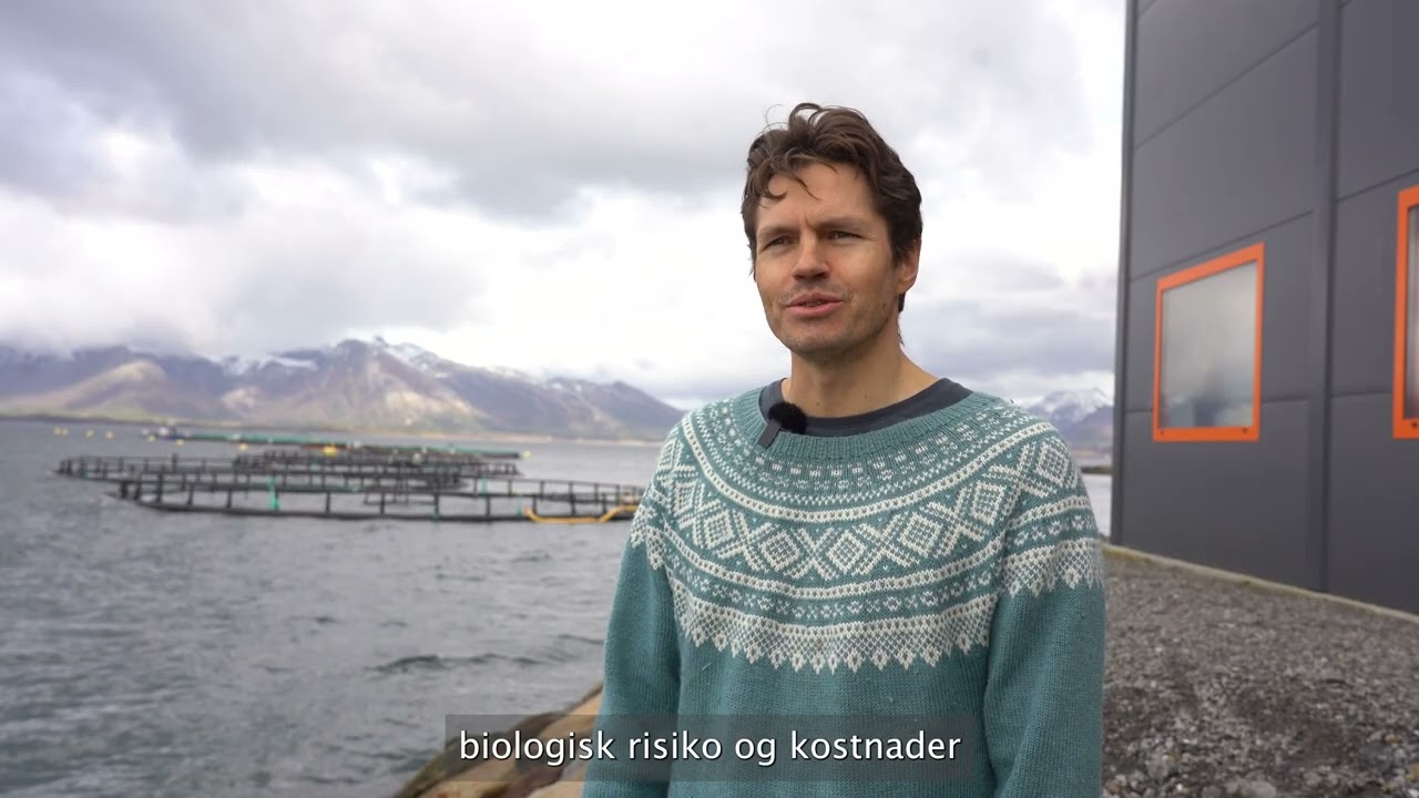 Nord-Norsk Stamfisk 15 år