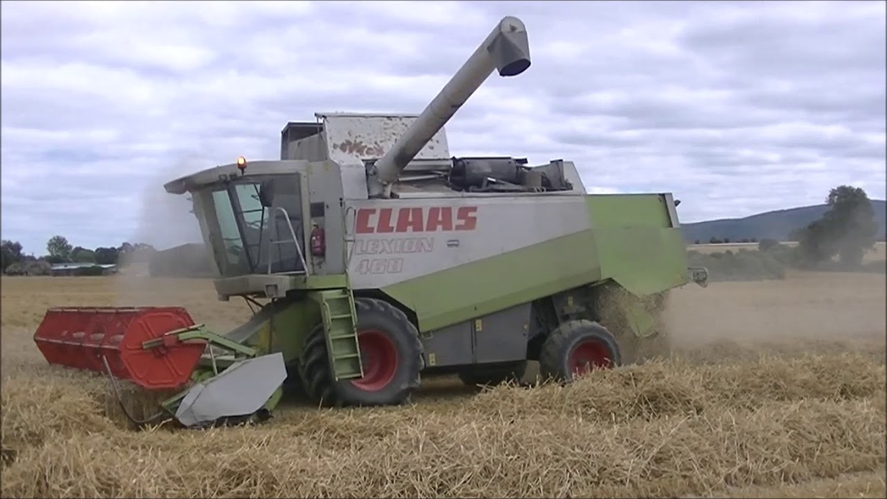 Claas Lexion 550 and 480 combines