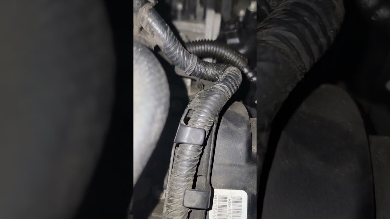 Dodge noise??
