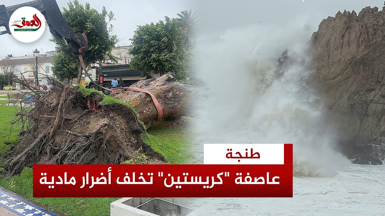 أمواج عاتية ورياح قوية تتسبب في انهيار أشجار بعد وصول عاصفة “كريستين” إلى طنجة