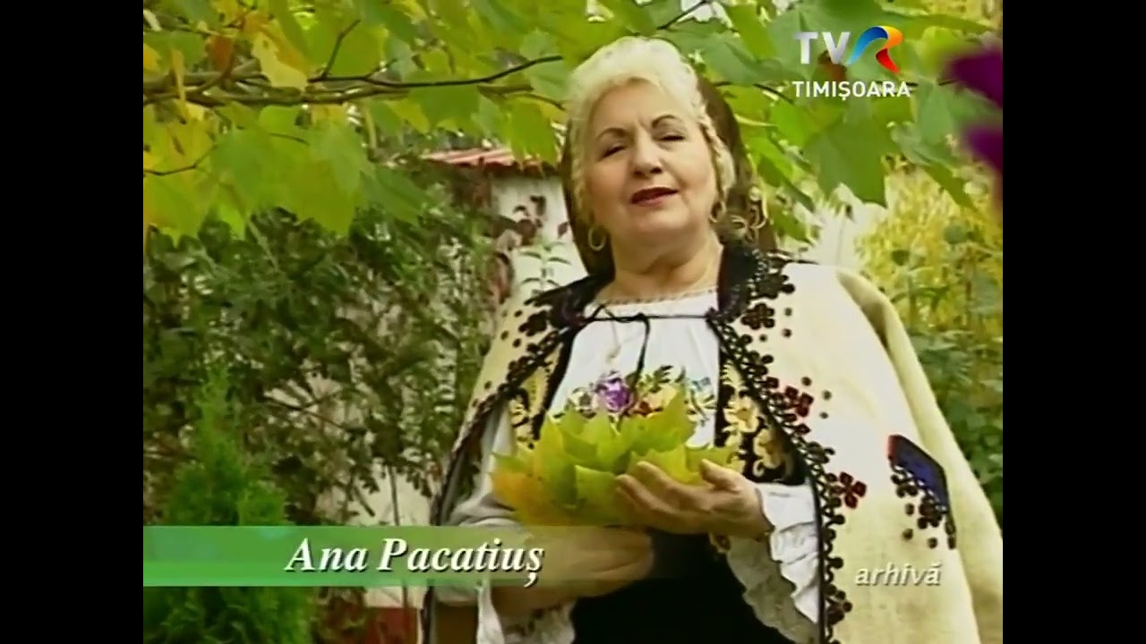 Ana Pacatius - Marie, Marie ( Arhiva 2004 )