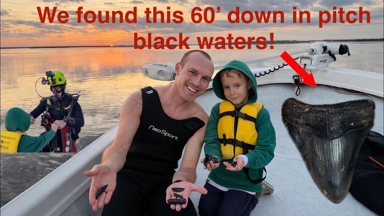 Megaladon Tooth Found! Family Shark Tooth Diving in South Georgia