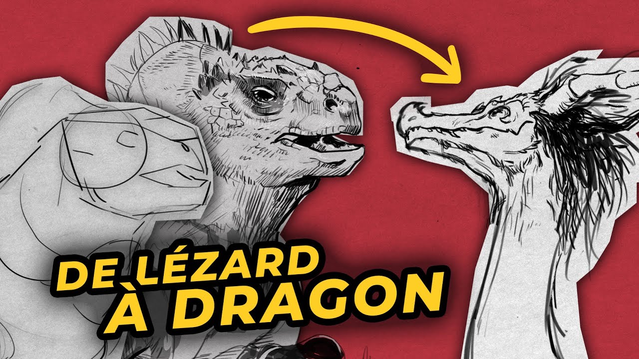 Dragon Vouivre : D’après l’anatomie d’un lézard préhistorique (dessin d'observation)