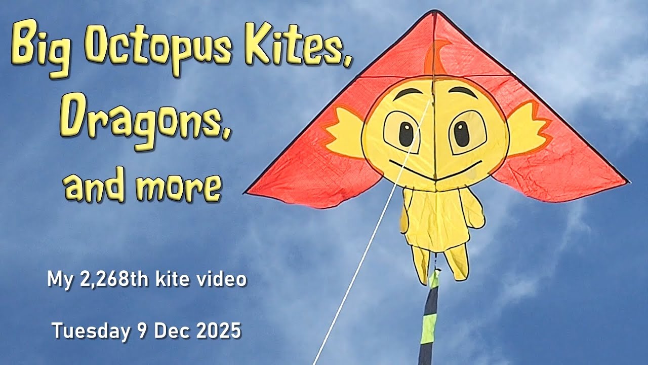 Giant Octopus Kites, Dragons, and more