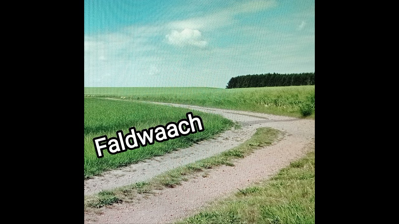faldwaach