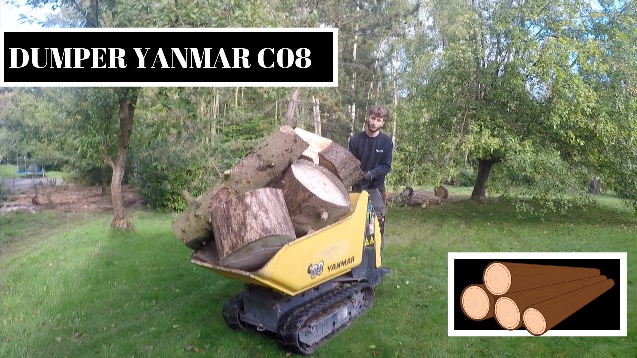 DUMPER SUR CHENILLE YANMAR