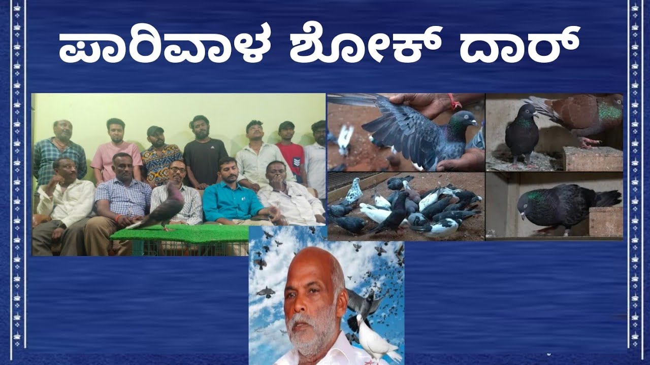 ಪಾರಿವಾಳ ಶೋಕದಾರ್.,.....