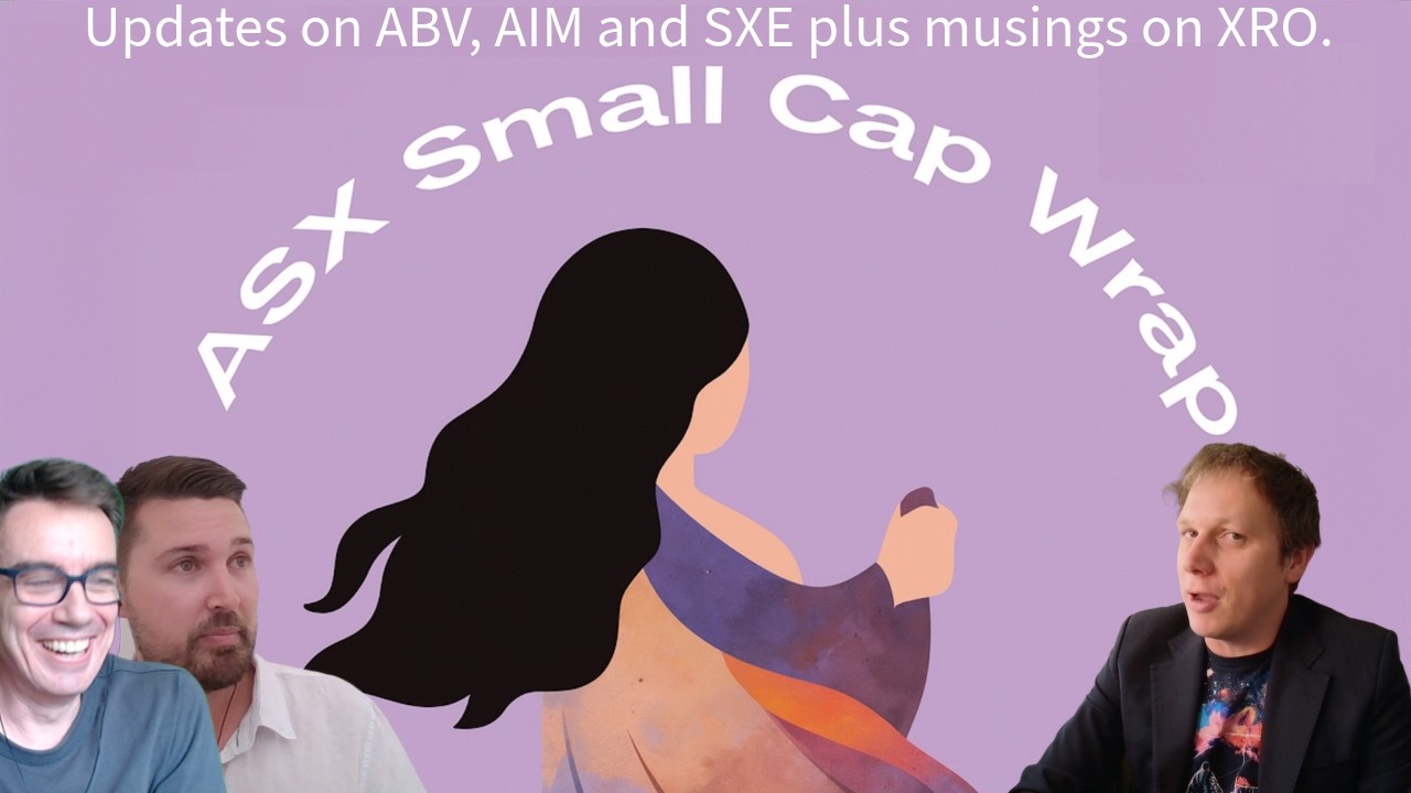 Episode 11: Sharemarket Panic Preparedness, ASX: AIM, ASX: SKS, ASX: XRO, ASX: ABV, and ASX: SXE